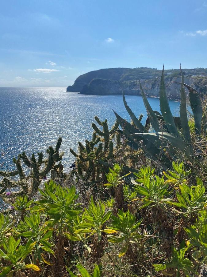 B&B Lodge Dell'Ospite Ischia Casamicciola Terme Bagian luar foto