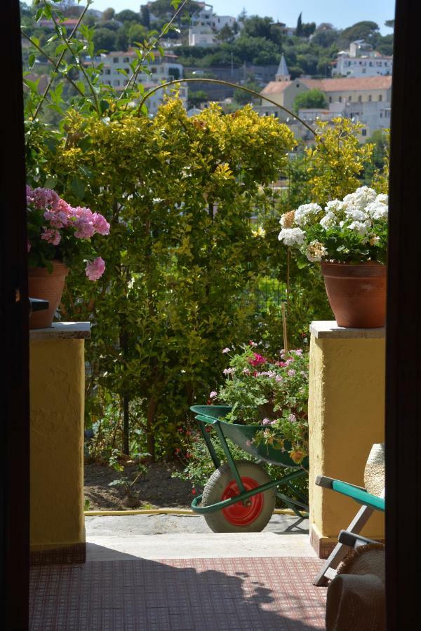 B&B Lodge Dell'Ospite Ischia Casamicciola Terme Bagian luar foto